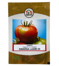 Tomato Suvarna Laxmi-55